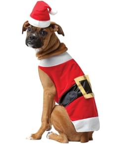 Costume Babbo Natale per cani