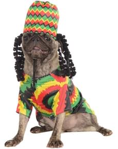 Rastafarian costume for a dog