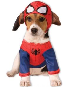 Costume de Spiderman pour chien