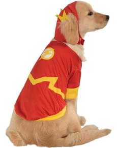 Childrens Flash DC Comics costume