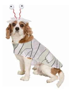 Dog's Mummy Costume
