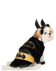 Dog's Adorable Batman Costume
