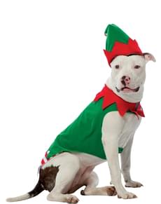 Costume elfo per cani